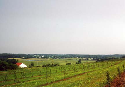 Brandy station