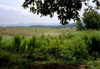 Field and mountains